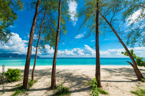 tropical trees on the sandy shore of the island and a view of the Andaman Sea  Thailand