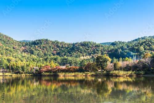 秋の京都 広沢池