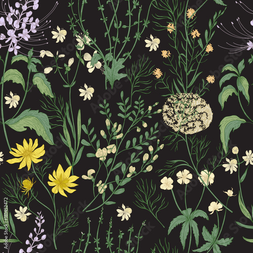 Elegant floral seamless pattern with gorgeous hand drawn wild flowers, tender...