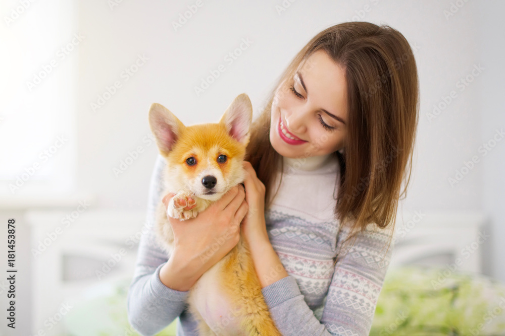 Smiling girl with Pembroke Welsh Corgi Puppy Smiling girl with Pembroke Welsh Corgi Puppy