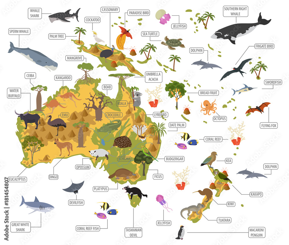 Vektorová grafika „Australia and Oceania flora and fauna map, flat ...
