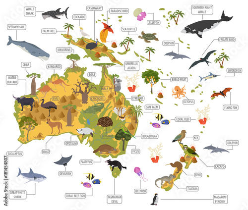 Australia and Oceania flora and fauna map, flat elements. Animals, birds and sea life big set. Build your geography infographics collection