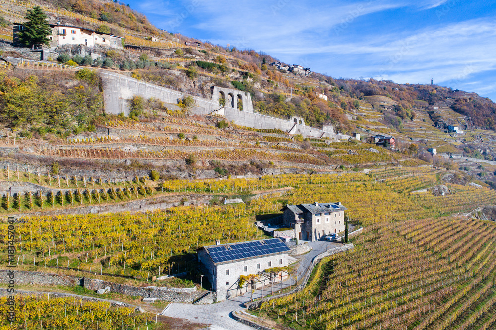 Winery in Valtellina, vineyards in the Alps