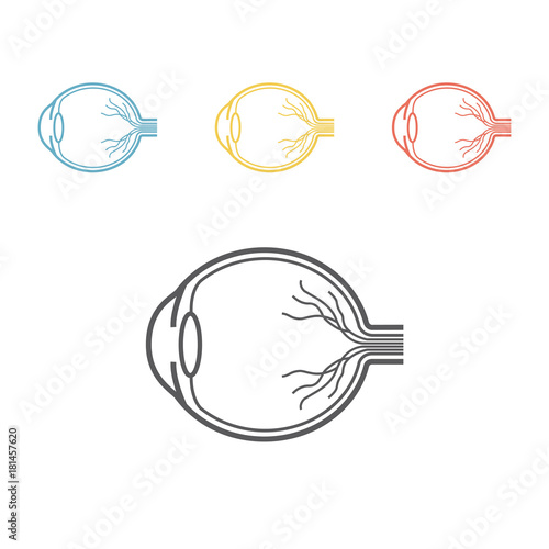 Eyeball anatomy line icon