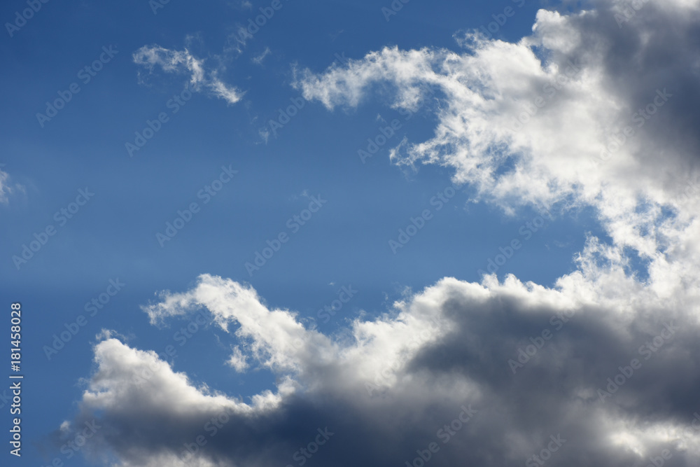 Obraz premium 青空と雲「雲の風景」（空に伸びる触手、訴求、求める、追求するなどのイメージ）