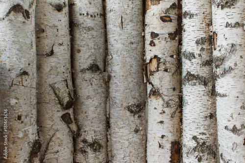 texture of untreated wood in natural conditions