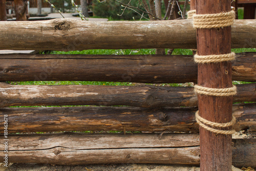 texture of untreated wood in natural conditions
