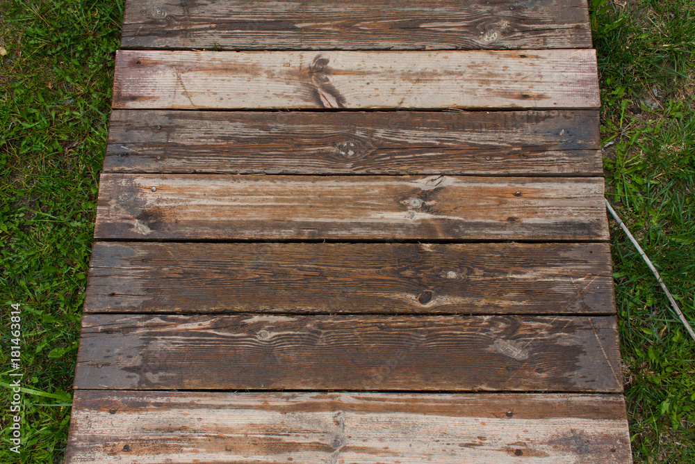 Fototapeta premium texture of untreated wood in natural conditions