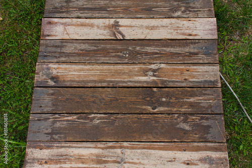 texture of untreated wood in natural conditions