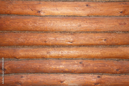 texture of untreated wood in natural conditions