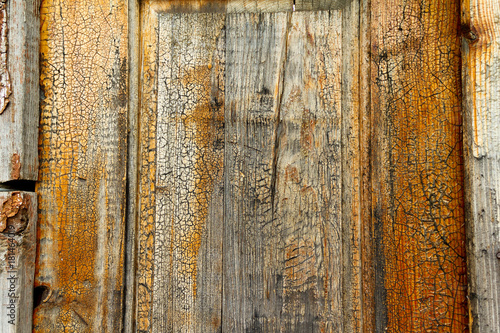 texture of untreated wood in natural conditions