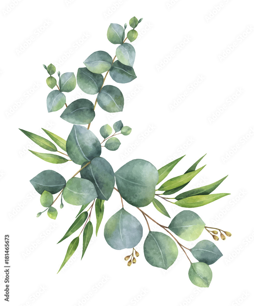 Fototapeta premium Akwarela wektor wieniec z zielonych liści eukaliptusa i gałęzi.