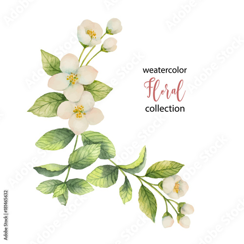 Watercolor vector wreath of flowers and branches Jasmine isolated on a white background.