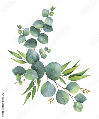Obraz na plátne Watercolor vector wreath with green eucalyptus leaves and branches
