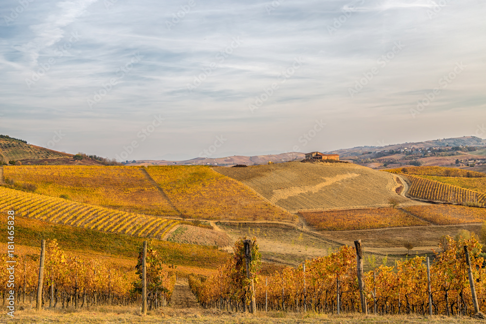 Hills of vineyards in autumn in Piedmont (Piemonte), Italy.