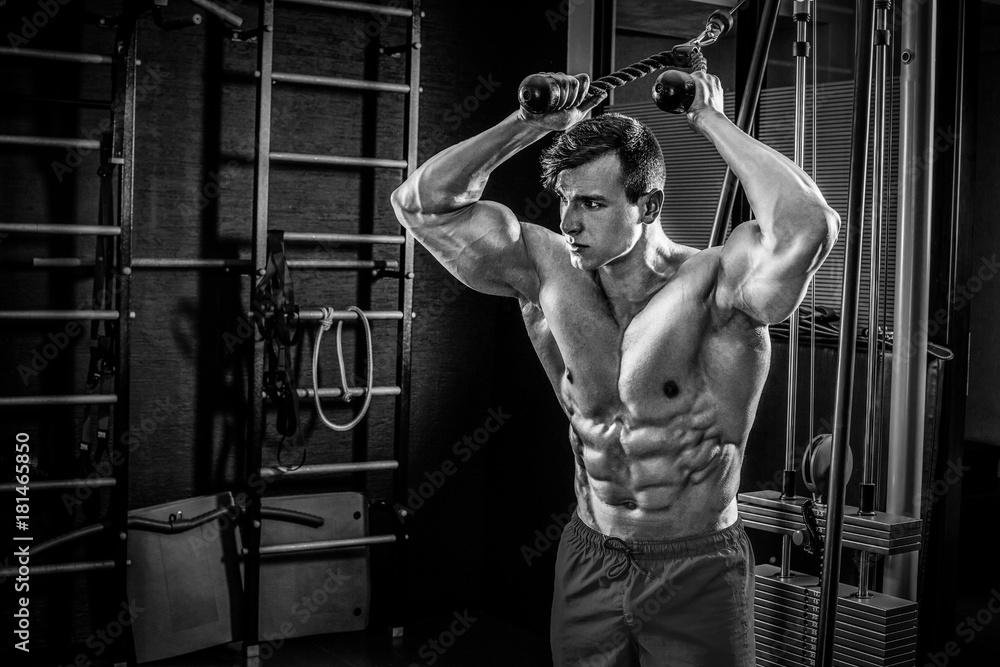 Sexy muscular man posing in gym, shaped abdominal. Strong male n Sexy muscular man posing in gym, shaped abdominal. Strong male n