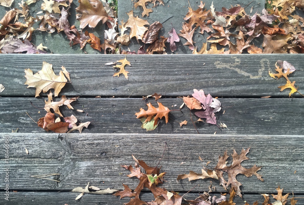 fall foliage leaves fallen on wooden steps