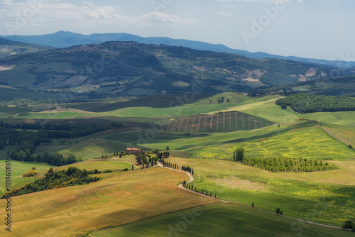 Magnificent spring landscape.Beautiful view of typical tuscan farm house, green wave hills, cypresses trees, hay bales, olive trees, beautiful golden fields and meadows.Tuscany, Italy, Europe © djevelekova