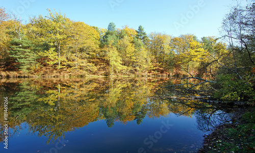 étang rompu pond in Rambouillet forest