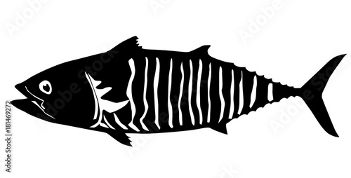 fish tuna icon illustration