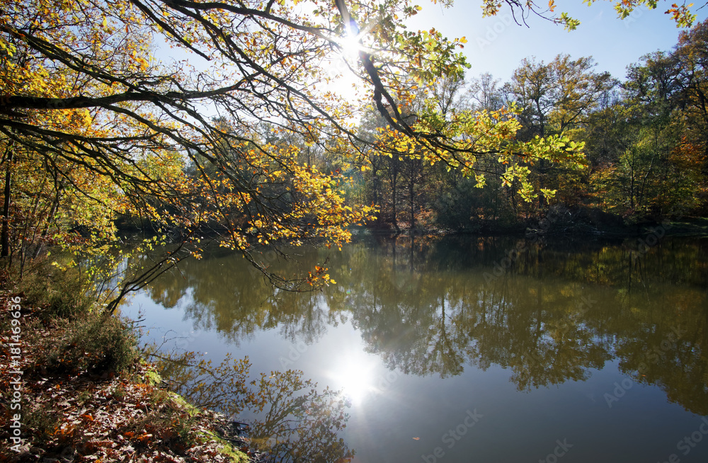 étang rompu pond in Rambouillet forest étang rompu pond in Rambouillet forest