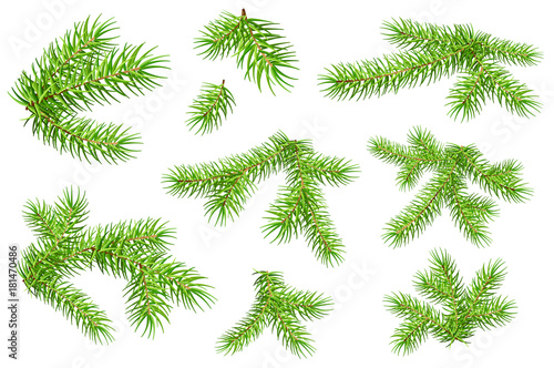 Set of green fluffy fir pine branches isolated on white background