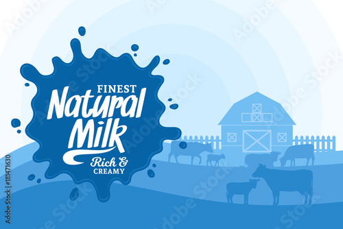 Vector milk illustration