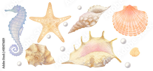 Set of watercolor sea elements: seashells, starfish, seahorse, pearl.