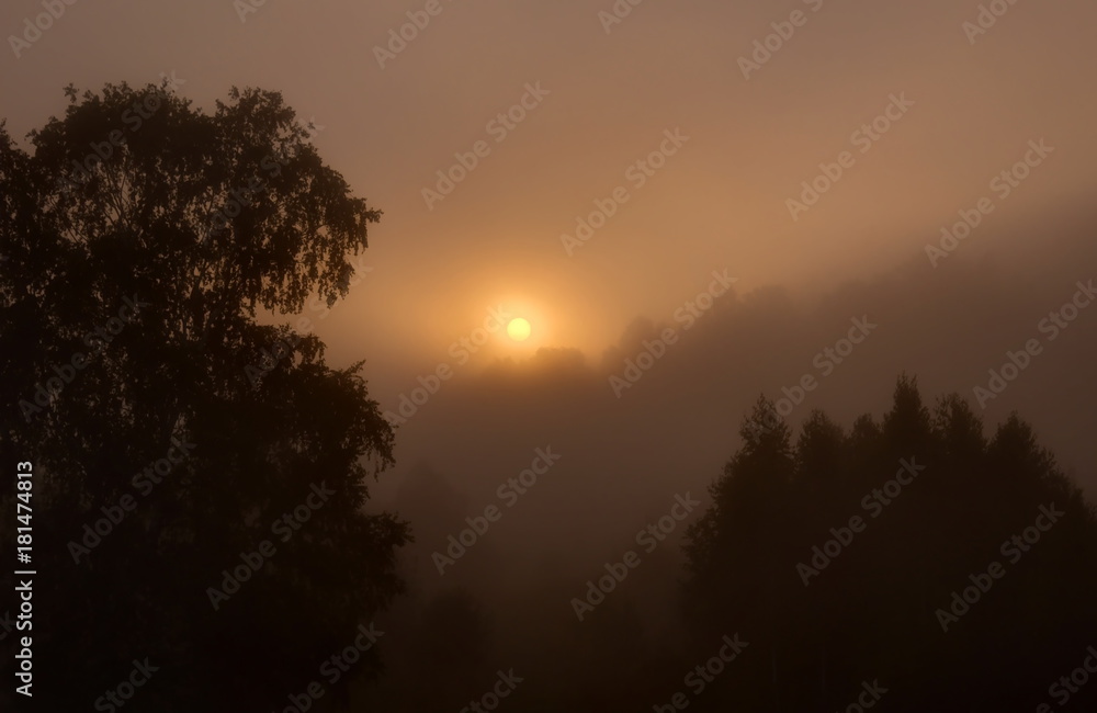 Dawn on the Siberian expanses Dawn on the Siberian expanses