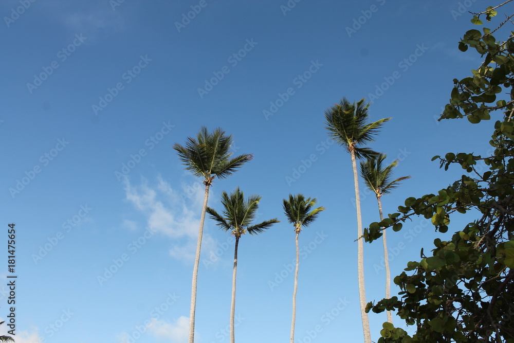 Beautiful and unique landscape of Dominican Republic Beautiful and unique landscape of Dominican Republic