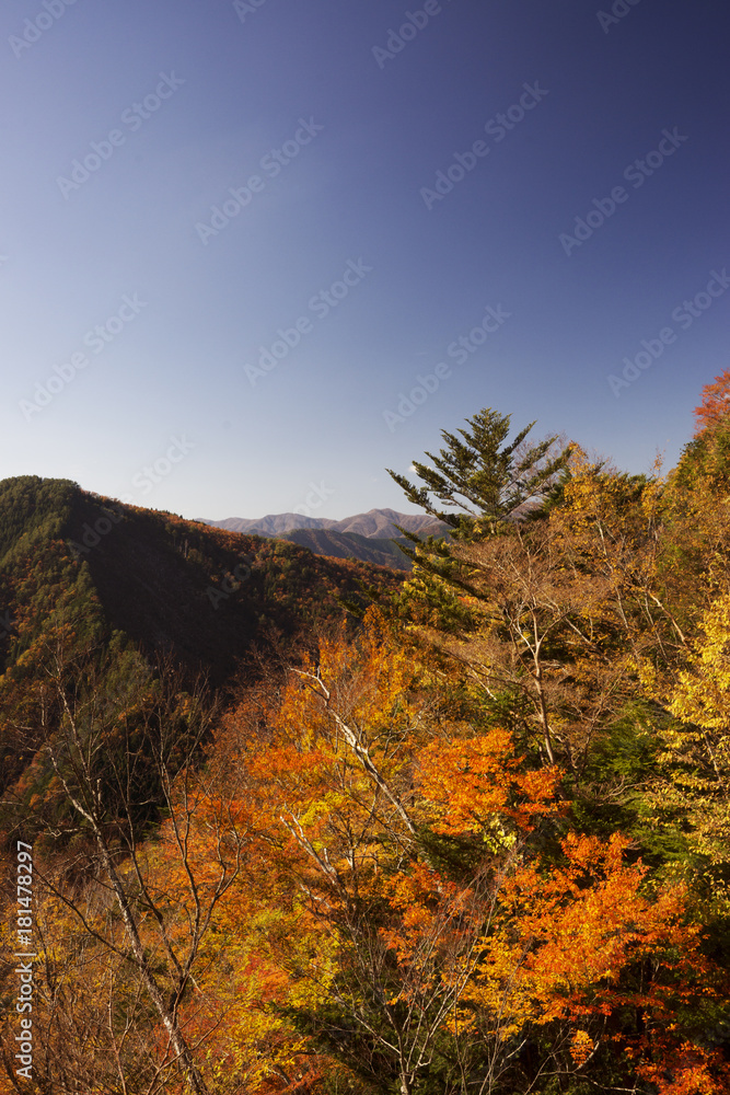 紅葉風景　奈良