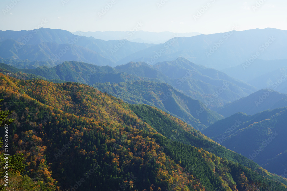 Obraz premium 紅葉風景 奈良