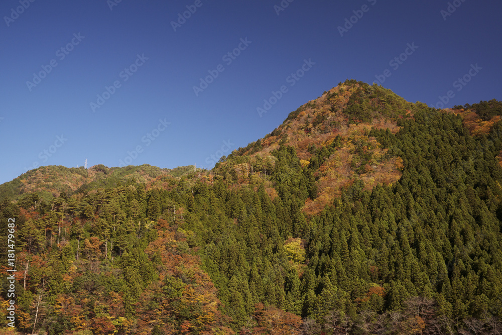 紅葉風景 奈良 紅葉風景 奈良
