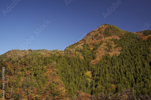 紅葉風景 奈良