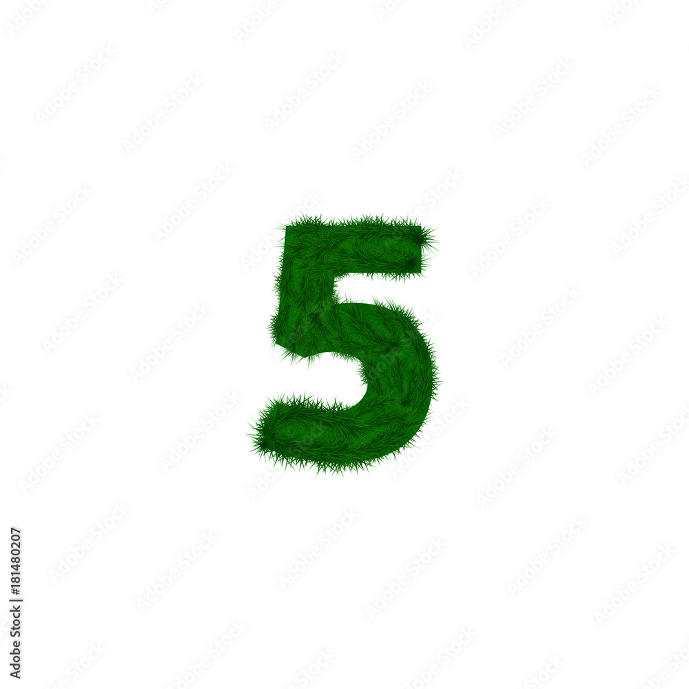 numbers decorated with pine branches. Number- 5. Five. numbers decorated with pine branches. Number- 5. Five.
