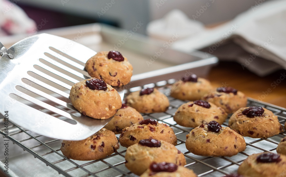 Cranberry cookies on sieve after take of oven , selective focus Cranberry cookies on sieve after take of oven , selective focus