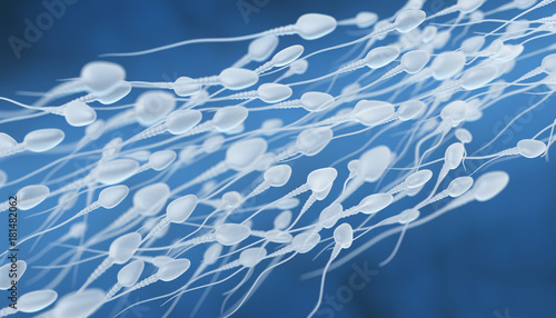 Human sperm flow photo