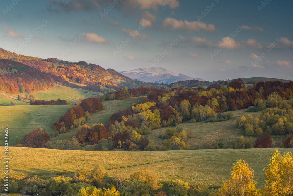 Vibrant colors of autumn in wilderness of Carpathia Mountains,Bieszczady,Poland