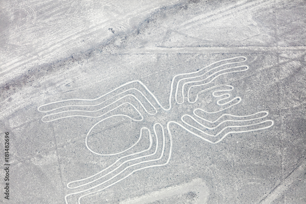 Nazca lines from the aircraft Nazca lines from the aircraft