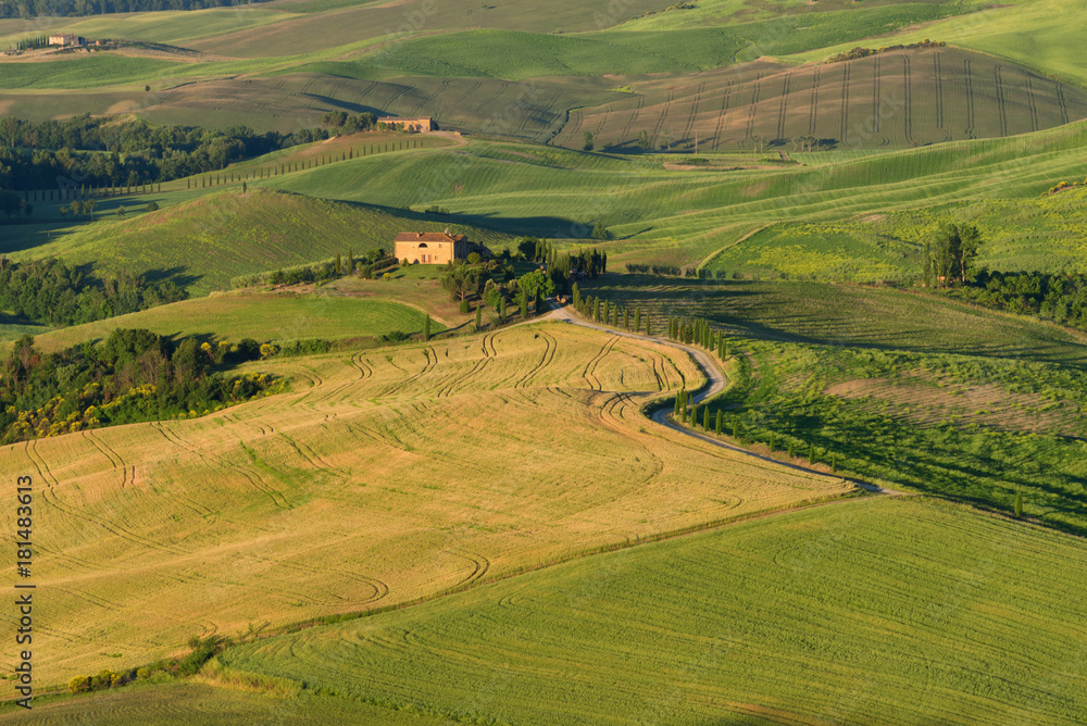 Obraz premium Magnificent spring landscape.Beautiful view of typical tuscan farm house, green wave hills, cypresses trees, hay bales, olive trees, beautiful golden fields and meadows.Tuscany, Italy, Europe