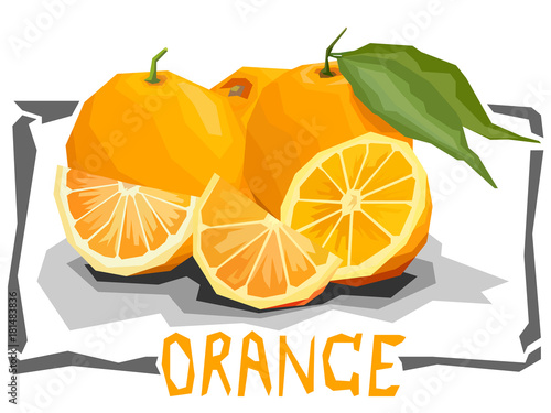 Vector simple illustration of oranges.