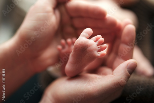 leg a baby in the hands of a parent