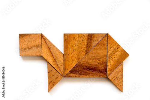 Wood tangram puzzle in turtle or tortoise shape on white background