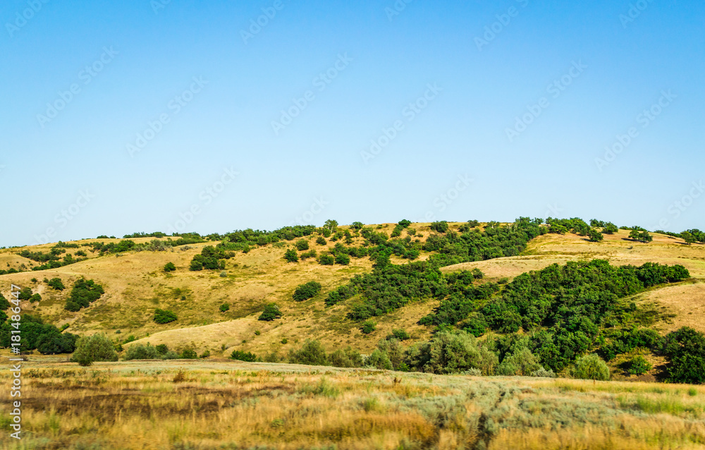 landscape field mountain expanse landscape field mountain expanse