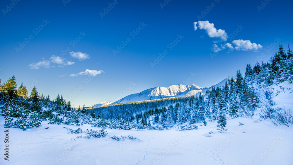 Naklejka premium Snowy peaks in Tatra mountains winter, Poland