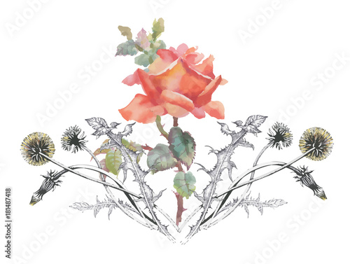 Watercolor floral composition. Clipping path included. Fast isolation. Hand painted.
