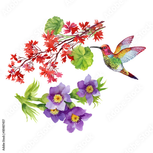 Watercolor floral composition. Clipping path included. Fast isolation. Hand painted.