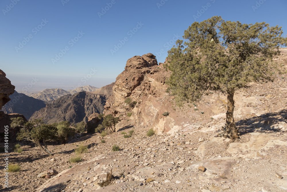 Beautiful Landscape near Monastery ad deir, ancient city of Petra, Jordan Beautiful Landscape near Monastery ad deir, ancient city of Petra, Jordan
