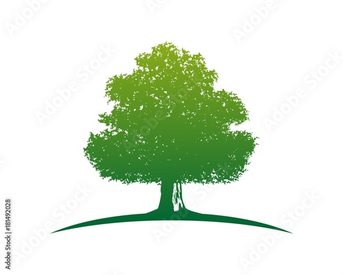 oak tree services