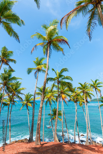 Fototapeta Naklejka Na Ścianę i Meble -  Tropical island with palm trees on the shore